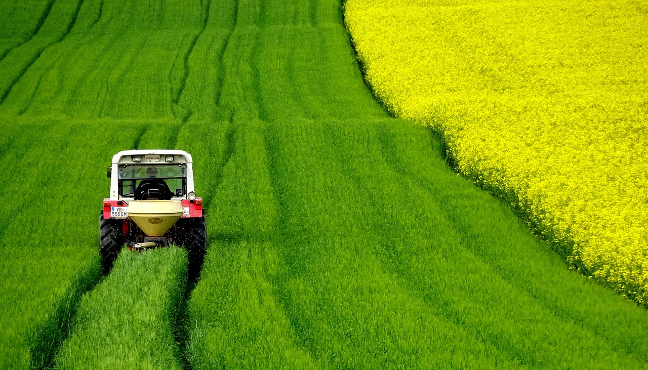 Korte metten maaien met Hollands gras